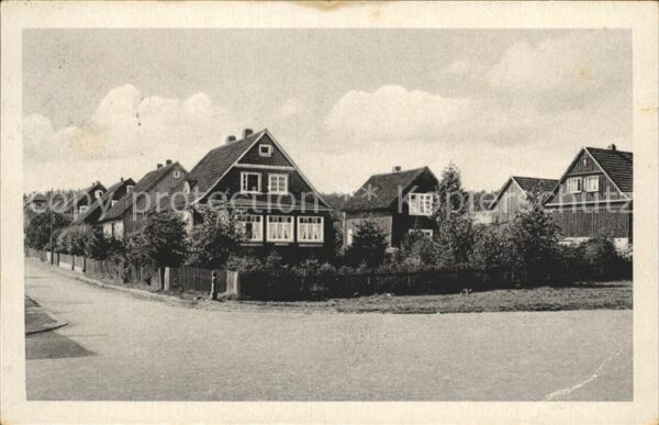 Tanne Harz Lindewarte