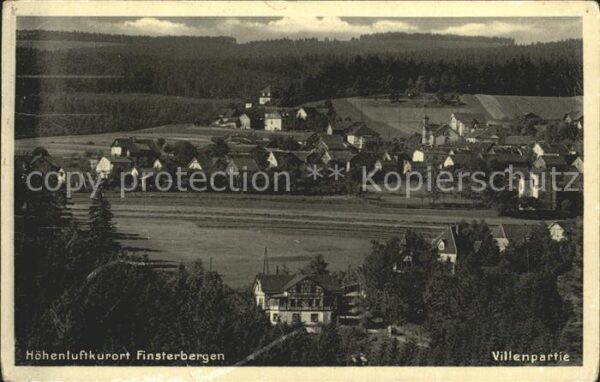 Finsterbergen Villenpartie Panorama Höhenluftkurort