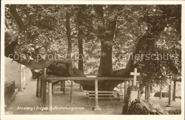 Annaberg-Buchholz Erzgebirge Auferstehungslinde Kreuz