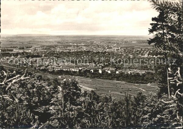 Fellbach Kappelberg
