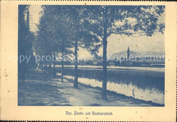 Dux Sudeten Barbarateich