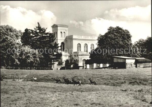 Putbus Ruegen Tierpark