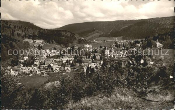 Herrenalb Bad Herrenalb Gesamtansicht Schwarzwald