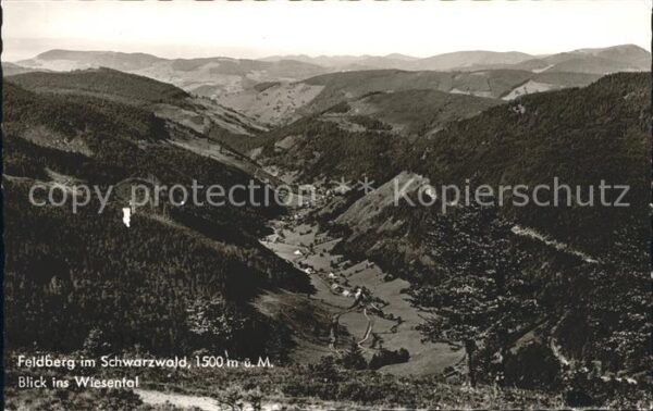 Feldberg Schwarzwald Panorama Blick ins Wiesental