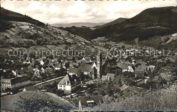 Alpirsbach Panorama Kurstadt Klosterstadt Schwarzw