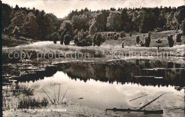Wilsede Lueneburger Heide Partie im Schlangengrund Teich