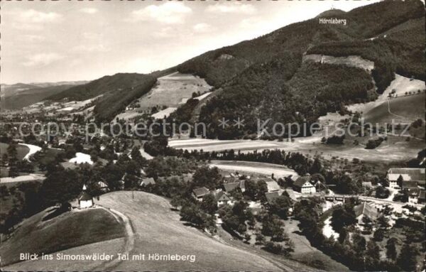Simonswald Panorama Simonswälder Tal mit Hörnleber