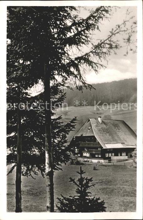 Schwarzwald Schwarzwaldhof