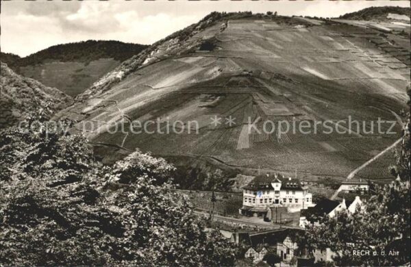 Rech Ahr Hotel Weingut Appel Weinberge