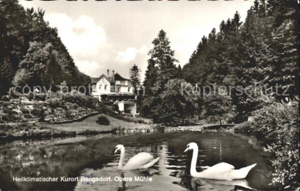 Rengsdorf Obere Mühle Schwanenteich Heilklimatisc