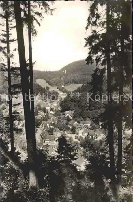 Bad Grund Durchblick vom Waldrand Moorheilbad Kli