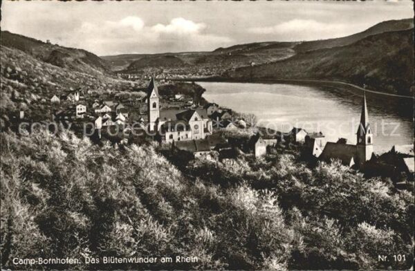 Bornhofen Kamp Panorama Das Blütenwunder am Rhein