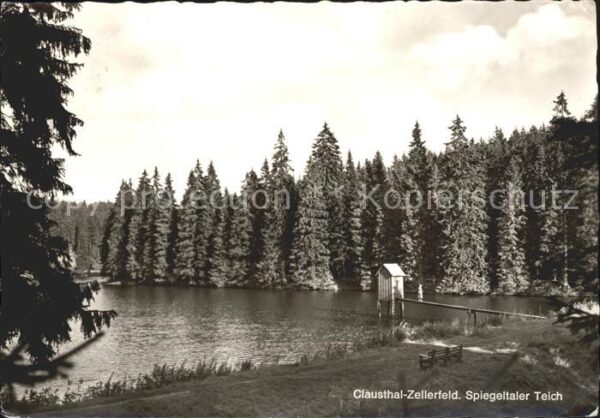 Zellerfeld Spiegeltaler Teich