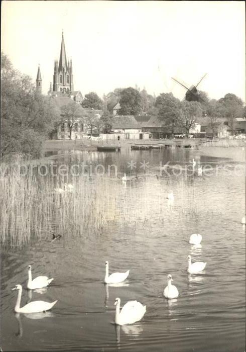 Werder Havel Inselansicht Kirche Windmühle Schwäne