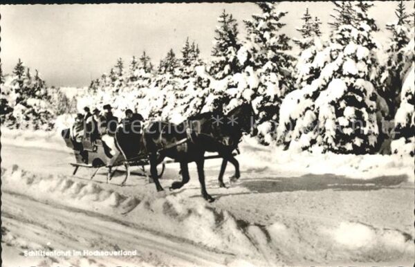 Fredeburg Schmallenberg Sauerland Pferde Schlittenfahrt im Hochsauerland