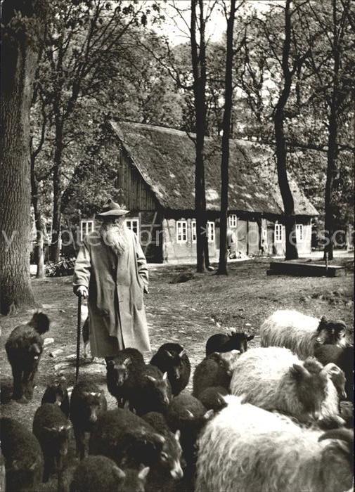 Wilsede Lueneburger Heide Schnuckenschäfer mit seiner Herde
