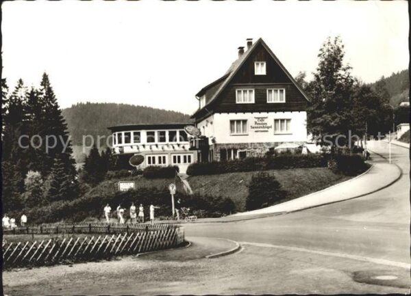 Wildemann Cafe Pension Sonnenhügel