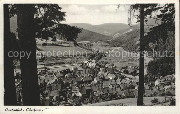 Lautenthal Harz Panorama Blick vom Schulberg ins Inners
