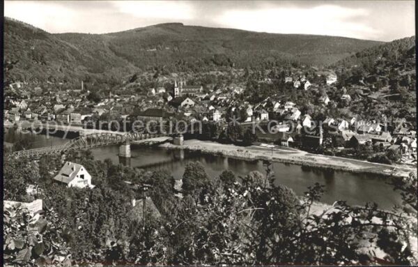 Eberbach Neckar Panorama Brücke
