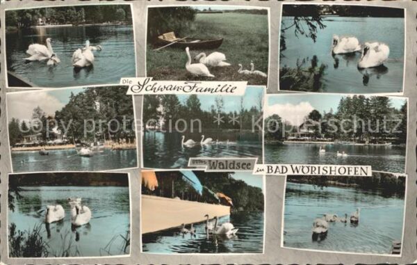 Bad Woerishofen Schwan Familie Waldsee Terrassen Cafe S