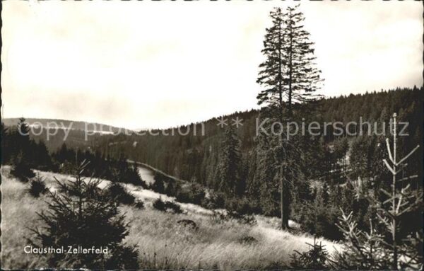 Clausthal-Zellerfeld Landschaft Oberharz