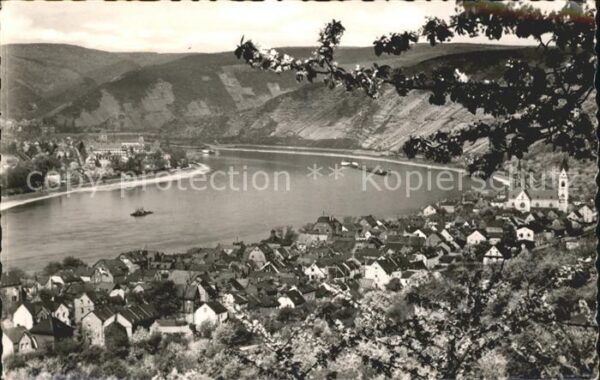 Kamp-Bornhofen Boppard Frühling am Rhein Blütenzauber