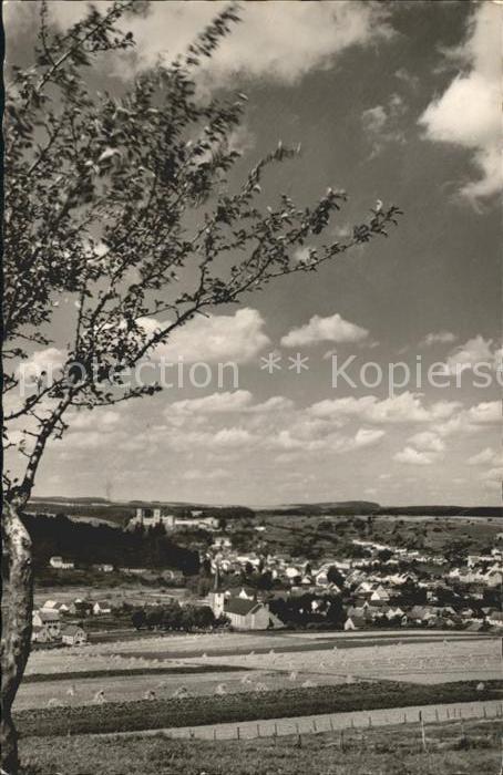 Wetteldorf Panorama Luftkurort Burgruine