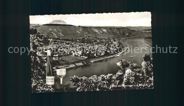 Winningen Mosel Panorama Weinanbaugebiet Wiege der Winz