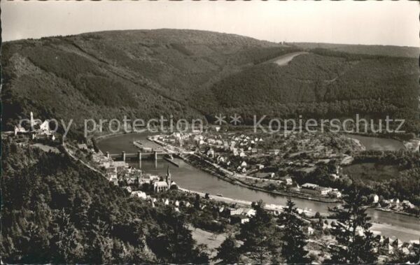 Hirschhorn Neckar Panorama