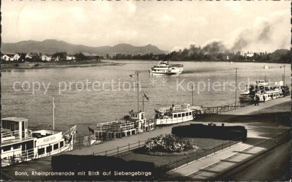 Bonn Rhein Rheinpromenade Dampfer Fähre Blick auf
