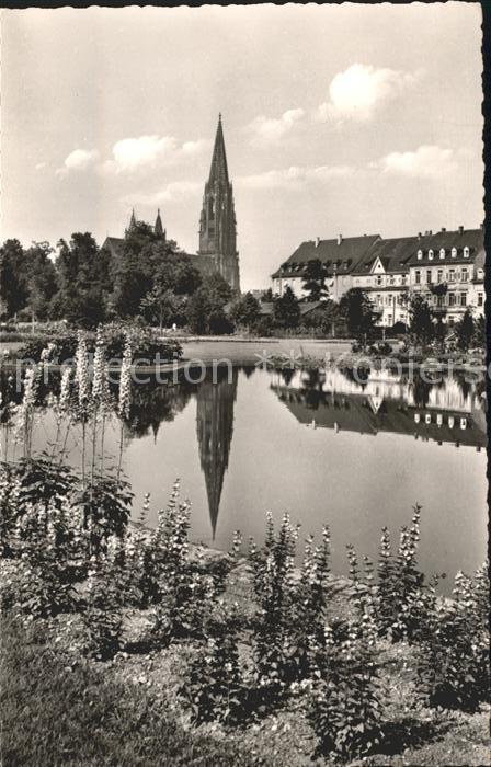 Freiburg Breisgau Stadtgarten mit Münster