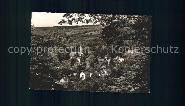 Schlangenbad Taunus Blick vom Waldrand Kirche