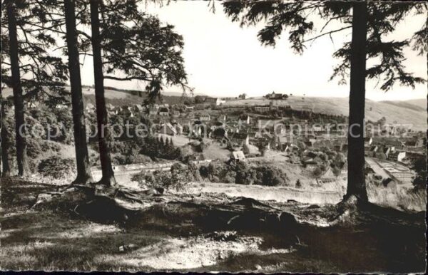 St Andreasberg Harz Blick vom Neufang