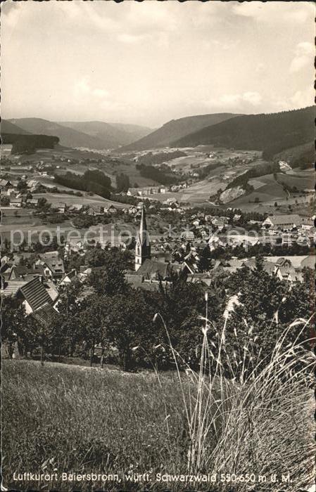 Baiersbronn Schwarzwald Panorama