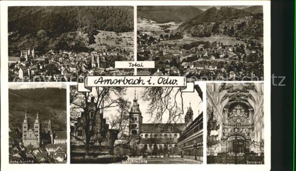 Amorbach Miltenberg Panorama Abteikirche Schlossmühle Kirch