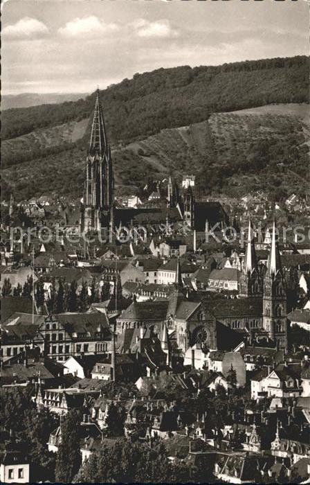 Freiburg Breisgau Blick vom Lorettoberg Altstadt Münster