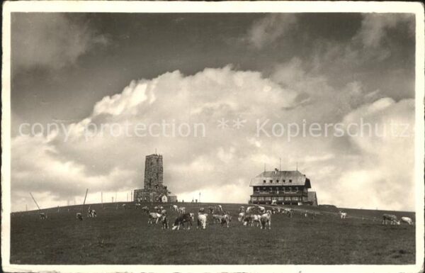 Feldberg Schwarzwald Stimmungsbild Feldbergturm Berggasthaus