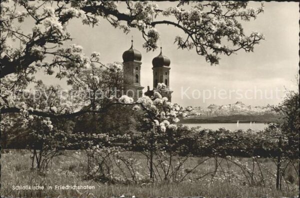 Friedrichshafen Bodensee Schlosskirche Baumblüte Alpenblick