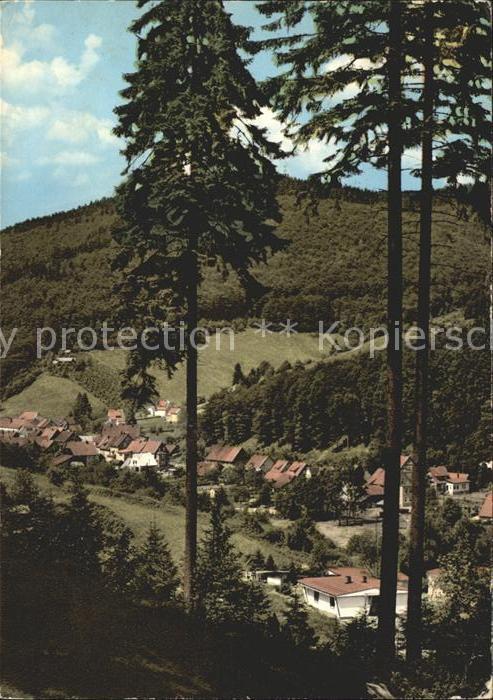 Sieber Luftkurort im Siebertal mit Bergcafe