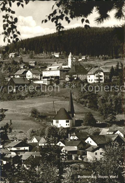 Bodenmais Ortsansicht mit Kirche Bayerischer Wald