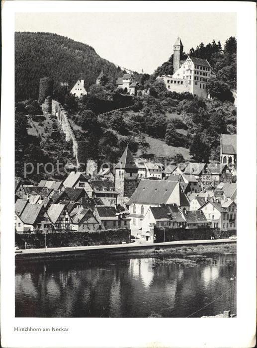 Hirschhorn Neckar Ortsansicht mit Burg