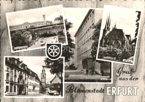Erfurt Stadtpark Severikirche VVB Kali Regieru