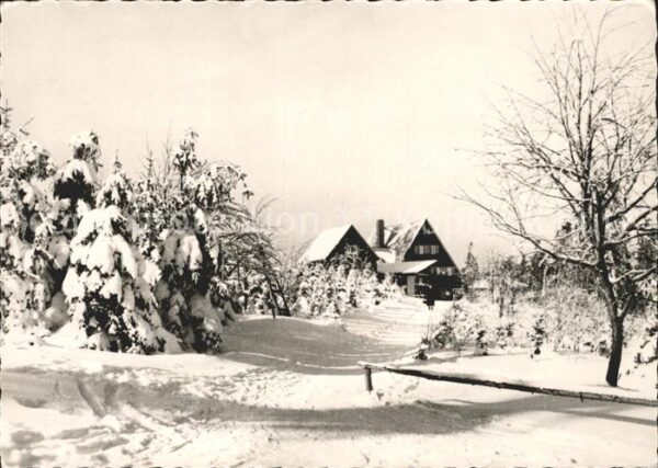 Altenberg Erzgebirge Waldschänke Altes Raupennest Winterland