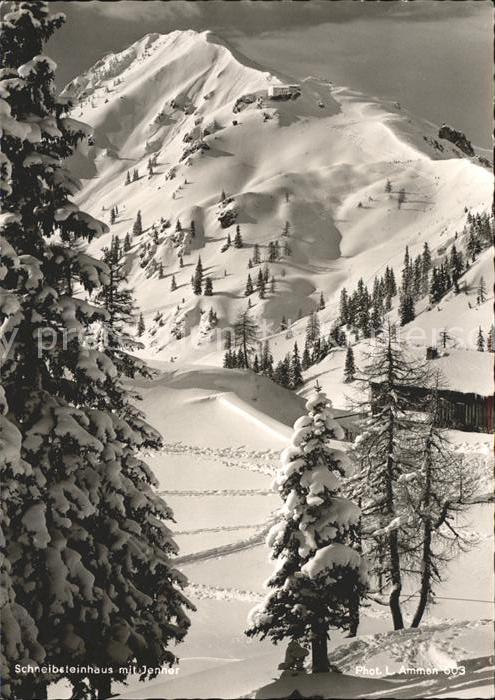 Koenigsee Berchtesgaden Schneibsteinhaus mit Jenner Winterpanor