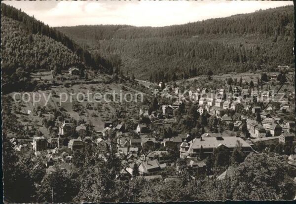 Bad Wildbad Panorama Schwarzwald