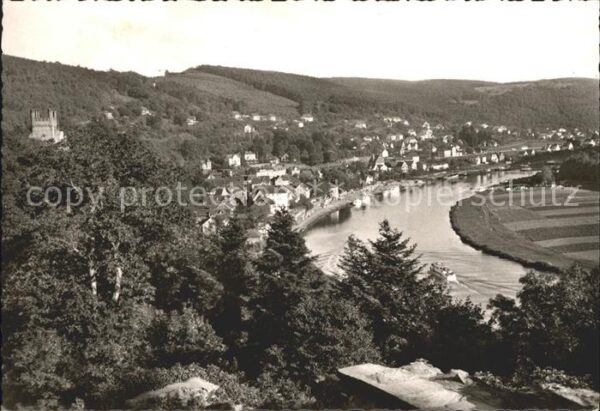 Neckarsteinach Panorama