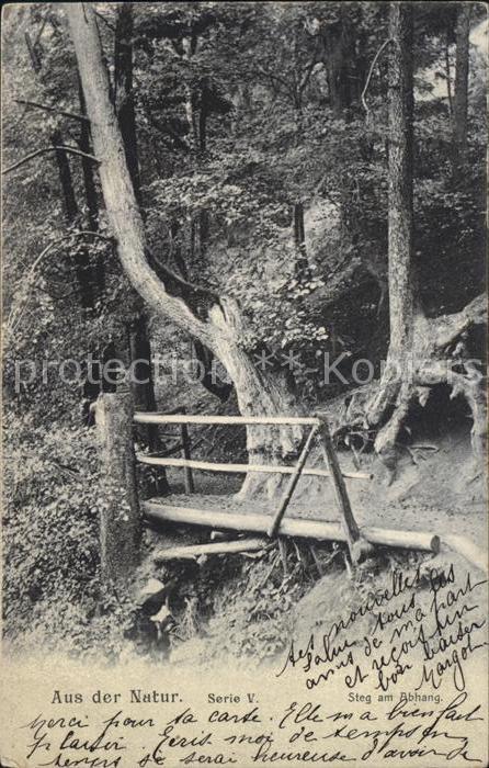 Baeume Trees Natur Steg am Abhang