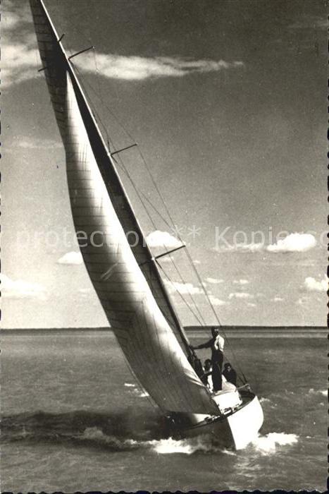 Segelboote Segeln Vitorlas Balatonon