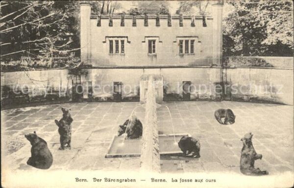 Baeren Bern Bärengraben