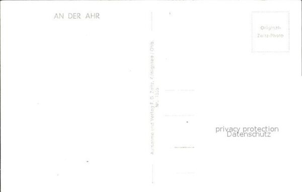 Foto Zeitz F.G. Nr. 1336 Bunte Kuh Walporzheim – Bild 2